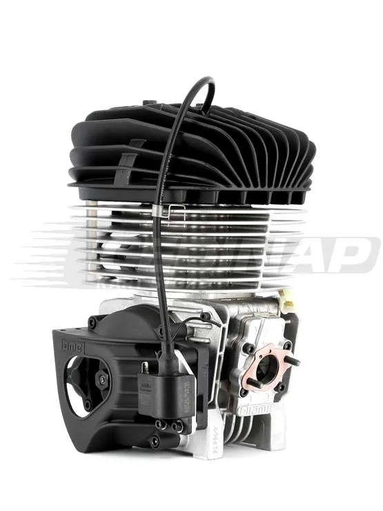Moteur IAME KA100